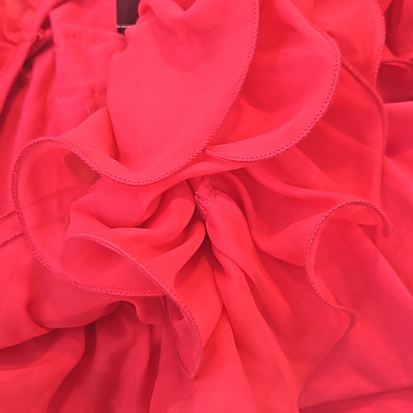NWT Anna Bella Fuschia Pink Ruffle Blouse. LARGE. - Picture 7 of 7